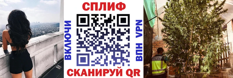 Где найти наркотики Калач ГЕРОИН  Alpha-PVP  МЕФ  Cocaine  ГАШ  АМФ 