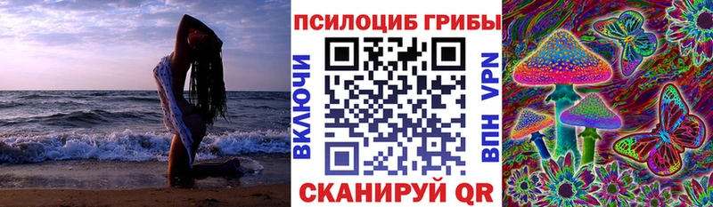 наркотики  блэк спрут зеркало  Псилоцибиновые грибы мухоморы  Калач 